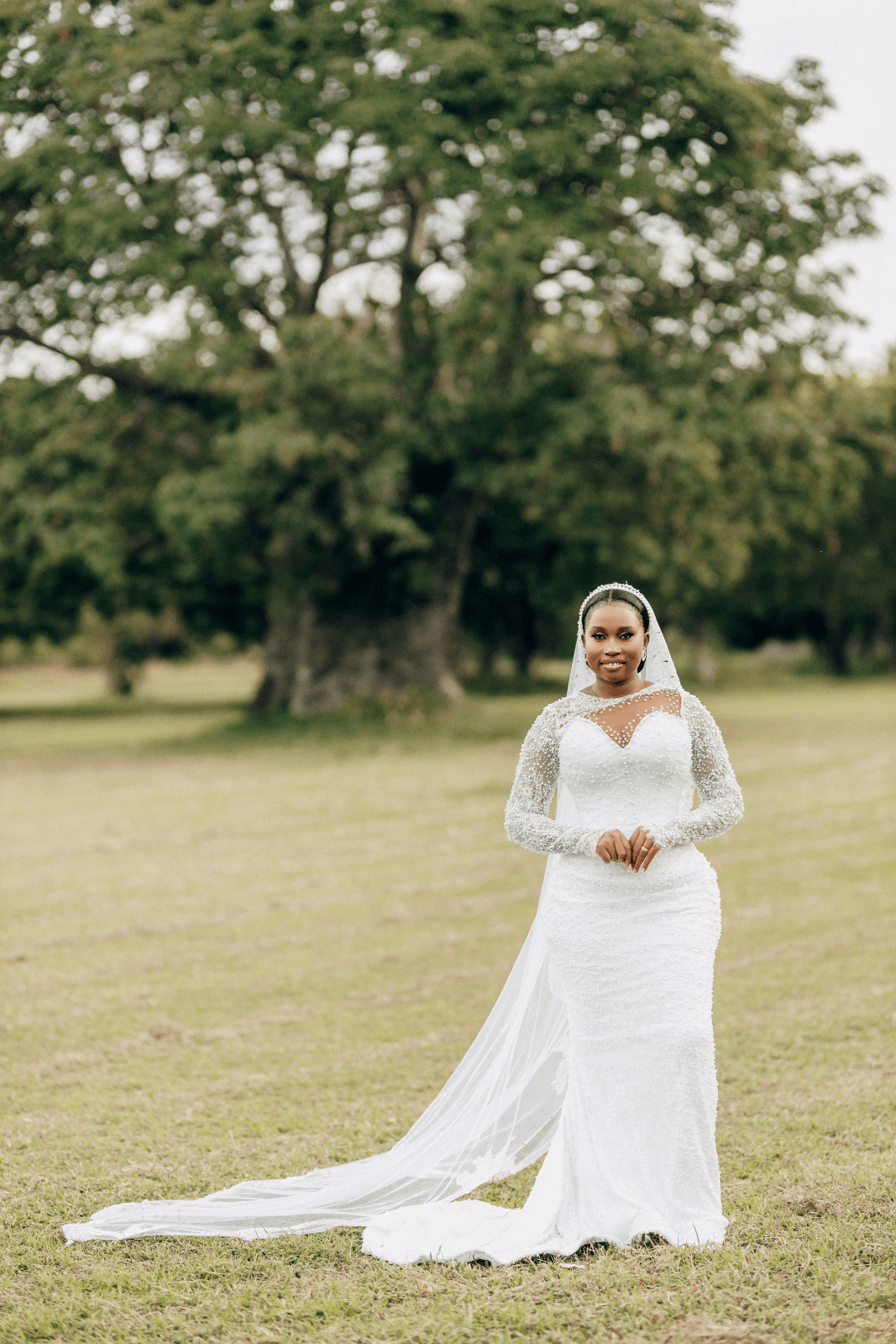 White Lace Sheath Gown, photo 1 of 6